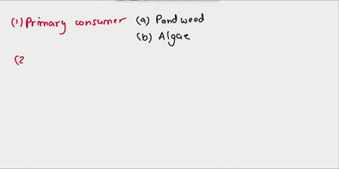 identify-the-members-of-the-food-web-as-producersprimary-consumerssecondary-consumersor-tertiary-consumers-garter-snake-answer-bank-primary-consumer-secondary-consumer-perch-minnow-producer-44273