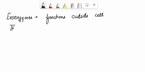 choose-the-following-macromolecule-that-exoenzymes-do-not-target-a-carbohydrates-b-ribosomes-c-proteins-lipids-29148