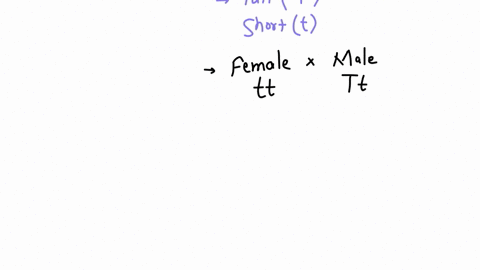 tall-plants-t-are-completely-dominant-over-short-plants-t-you-cross-a-short-plant-female-with-a-tall-plant-male-that-is-heterozygous-use-a-punnett-square-to-determine-the-expected-genotypic-58892