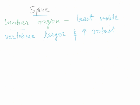 based-on-its-unique-characteristics-which-region-of-the-spine-allows-for-the-least-movement-into-flexion-and-extension-group-of-answer-choices-cervical-upper-and-mid-thoracic-lumbar-10317