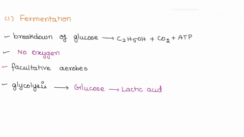 1-describe-fermentation-including-why-it-happens-and-in-what-cell-types-2-summary-explanation-about-cellular-respiration-57687