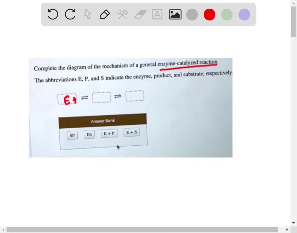 SOLVED Complete the diagram of the mechanism of a general enzyme