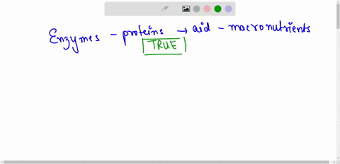 question-46-2pts-enzymes-are-protein-molecules-that-are-needed-to-break-down-macronutrients-o-true-false-question47-2pts-fat-soluble-vitamins-leave-the-gl-tractand-areabsorbed-directly-into-07612