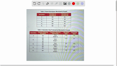 table-1-parent-genotypes-monohybrid-crosses-genotype-of-genotype-of-generation-individual-1-individual-2-dd-dd-dd-dd-dd-dd-dd-dd-dd-table-2-generation-data-produced-by-monohybrid-crosses-gen-19476