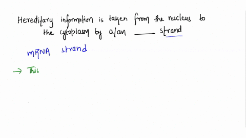 during-protein-synthesis-hereditary-information-in-the-form-of-the-sequence-of-dna-bases-is-taken-from-the-nucleus-to-the-cytoplasm-by-aan-___________-strand-86009