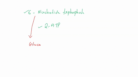 gluconeogenesis-requires-the-use-of-6-nucleotide-triphosphate-moleculeswhereas-the-glycolytic-pathway-only-yields-a-net-production-of-2-atp-molecules-during-the-breakdown-of-glucose-why-then-28658