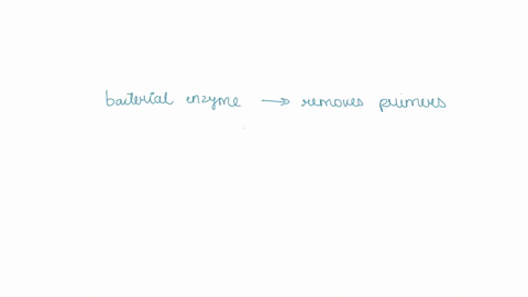 which-bacterial-enzyme-removes-the-primers-a-primase-b-dna-polymerase-i-c-dna-polymerase-iii-d-ligase-05377