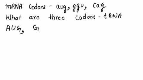 if-mrna-codons-are-aug-ggu-and-cag-what-three-codons-of-trna-will-attach-34082
