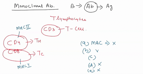 an-immunologist-is-attempting-to-develop-a-new-monoclonal-antibody-to-target-baudelaires-lymphoma-a-malignancy-which-highly-involves-t-lymphocytes-he-wishes-to-target-the-cd3-molecule-of-t-c-03683