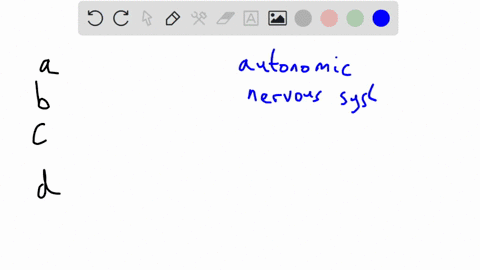which-of-the-below-is-accurate-concerning-the-sympathetic-and-parasympathetic-nervous-systems-group-of-answer-choices-sympathetic-is-under-voluntary-control-parasympathetic-is-not-under-volu-72126