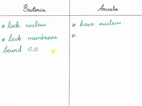 both-bacteria-and-amoeba-are-unicellular-organisms-bacteria-are-considered-to-be-prokaryotes-whereas-amoebas-are-considered-to-be-eukaryotes-how-will-you-justify-this-reasoning-57593