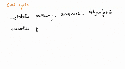 the-cori-cycle-1-lactic-acid-is-transported-from-the-liver-to-muscle-by-the-blood-2-glycolysis-takes-place-in-muscle-and-gluconeogenesis-in-the-liver-3-glycolysis-takes-place-in-the-liver-an-58298