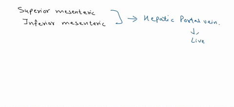 9-select-the-correct-order-of-blood-flow-portal-vein-sinus-venosus-right-atrium-_-inferior-vena-cava-superior-mesenteric-vein-portal-vein-right-atrium-inferior-vena-cava-superor-mesenteric-v-04487