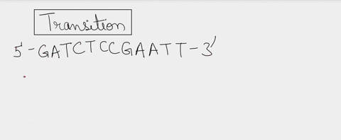 in-the-following-sequence-of-dna-the-italicized-base-has-been-mutated-what-type-of-mutation-this-5-gatctcc-ga-a-tt-3-original-strand-gatctcccaatt-3-mutated-strand-multiple-choice-transition-62068