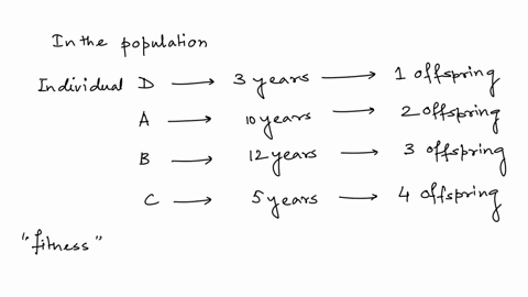 question-2-which-of-these-individuals-is-more-fit-from-an-evolutionary-perspective-individual-d-lives-for-3-years-and-has-surviving-offspring-individual-a-lives-for-10-years-and-has-2-surviv-18134