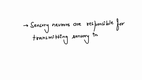 sensoryneurons-a-conduct-signals-from-receptors-to-the-centralnervous-system-b-enter-via-the-spinal-chord-via-the-ventralroot-c-conduct-impulses-to-the-effectors-d-are-found-in-the-descending-tracts-o