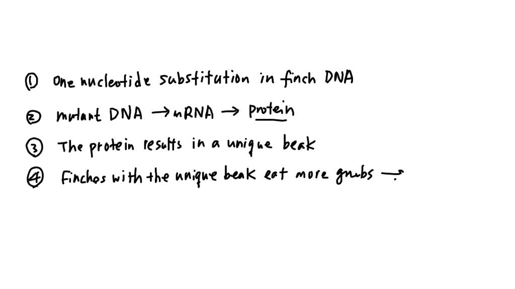 SOLVED: From Mutation to Natural Selection Suppose that two researchers
