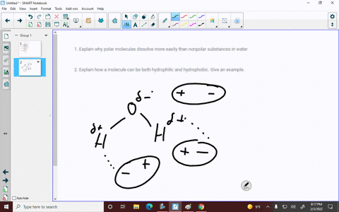 1-explain-why-polar-molecules-dissolve-more-easily-than-nonpolar-substances-in-water-2-explain-how-a-molecule-can-be-both-hydrophilic-and-hydrophobic-give-an-example