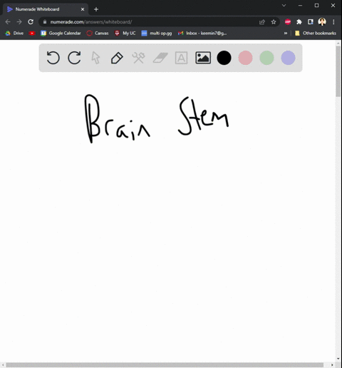 the-brain-stem-consists-of-these-structures-a-medulla-oblongata-pons-and-midbrain-b-medulla-oblongat-79003