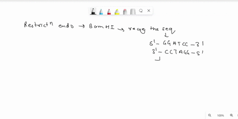 q2-the-restriction-endonuclease-bamhl-recognizes-the-sequence-5-ggatcc-3-3-cctagg-5-and-cuts-each-dna-strand-between-gg-dna-molecule-with-the-following-sequence-was-incubated-with-the-restri-94334