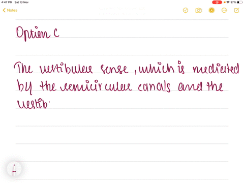 which-of-the-following-might-result-from-a-disruption-of-your-vestibular-sense-a-inability-to-detect-68929