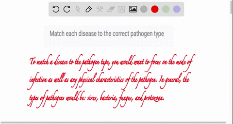 match-each-disease-to-the-correct-pathogen-type-71945