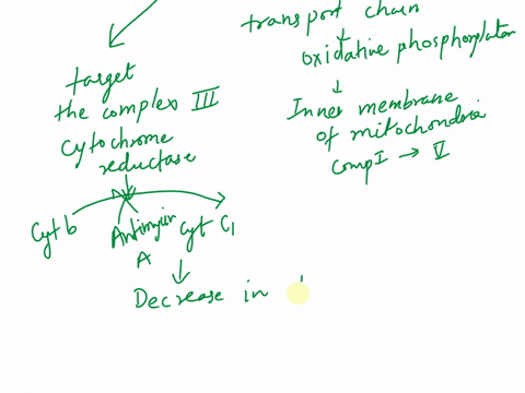 038-the-antibiotic-antimycin-a-causes-electrons-to-become-stuck-to-q-s0-that-they-are-unable-to-ever-reach-complex-iv-which-of-the-following-scenarios-you-explored-in-this-tutorial-is-most-s-60152