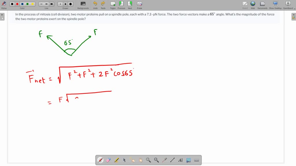 motor-proteins-convert-chemical-energy-by-hydrolysis-of-atp-cell