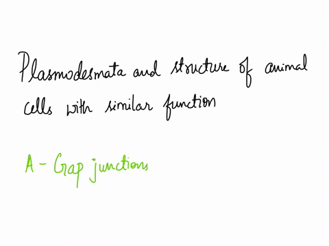 question-6-not-yet-answered-marked-out-of-100-p-flag-question-plasmodesmata-in-plant-cells-are-most-similar-in-function-to-which-ofthe-following-structures-in-animal-cells-a-gap-junctions-b-29403