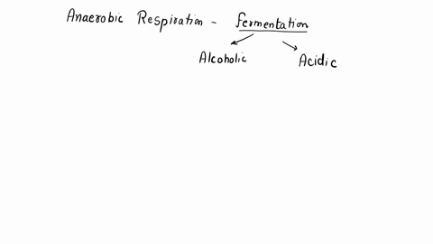 fermentation-anaerobic-respiration-is-also-known-as-2-types-of-fermentation-fermentation-fermentation-lactic-acid-fermentation-this-occurs-in-some-and-and-in-animal-when-there-is-not-enough-53246