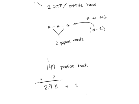 consider-a-protein-made-up-of-150-amino-acid-residues-how-many-gtp-molecules-will-be-required-if-on-average-2-gtps-are-consumed-per-peptide-bond-formed-one-for-elongation-positioning-and-ano-39578