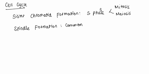 sister-chromatid-formation-spindle-formation-homologous-chromosome-pairing-chromosome-condensation-and-chromosome-movement-to-poles-are-all-features-shared-by-both-mitosis-ad-meiosis-cell-di-98489