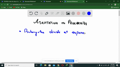 the-population-of-prokaryotes-ie-bacteria-archaea-can-adapt-to-change-in-their-environments-much-more-rapidly-than-sexually-reproducing-eukaryotes-eg-plants-animals-can-select-all-that-apply-78136