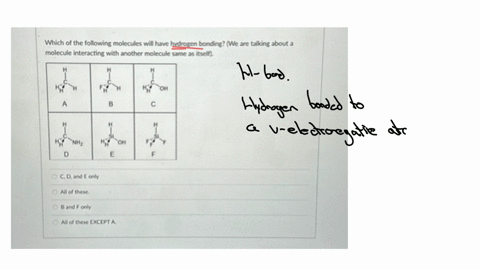 which-of-the-following-molecules-will-have-hydrogen-bonding-we-are-talking-about-a-molecule-interacting-with-another-molecule-same-as-itself-c-d-and-mathrme-only-att-of-these-b-and-f-only-alt-of-these