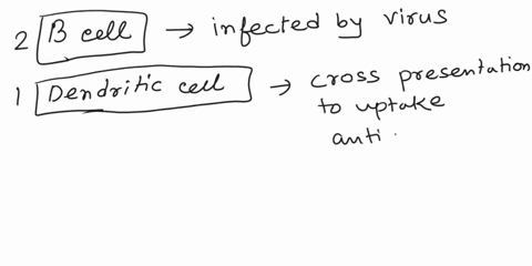 match-the-antigen-presenting-cell-with-its-appropriate-characteristics-note-each-answer-choice-may-be-used-more-than-once-2-points-1-dendritic-cell-2-b-cell-3-macrophage-4-macrophages-and-de-15711