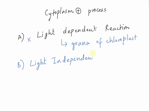 questions-14-18-a-light-dependent-reactions-b-light-independent-reactions-c-krebs-cycle-d-glycolysis-65712