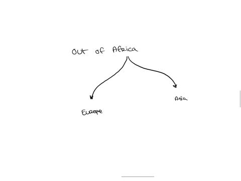 select-a-phylogeny-ol-major-populations-ol-modern-humans-thal-would-reject-the-oul-ol-africa-hypolhesis-europe-asla-south-america-africa-asla-south-amerka-europe-aftlca-asla-south-amerkca-eu-87732