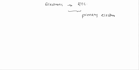 question-9-1-point-saved-as-electrons-travel-from-the-electron-transport-chain-primary-electron-acceptor-in-photosystem-il-down-the-photosystem-the-stroma-into-they-drive-the-movement-of-pro-20355