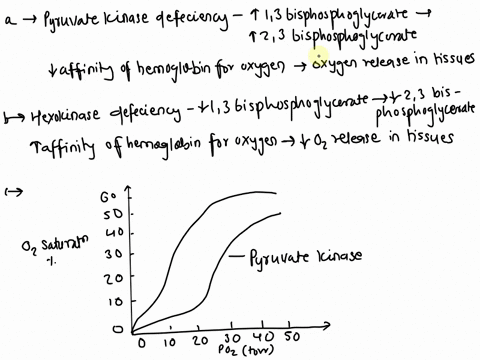red-blood-cells-synthesize-and-degrade-23-bisphosphoglycerate-from-13-bisphosphoglycerate-as-a-detour-from-the-glycolytic-pathway-a-predict-the-consequences-of-a-deficiency-in-pyruvate-kinas-60678