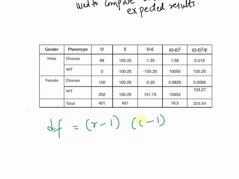 for-the-following-chi-square-tablehow-many-degrees-of-freedom-should-be-used-when-calculating-the-p-value-gender-phenotype-e-o-e-o-e2-o-e2e-male-disease-99-10025-125-156-0016-wt-0-10025-1002-82949