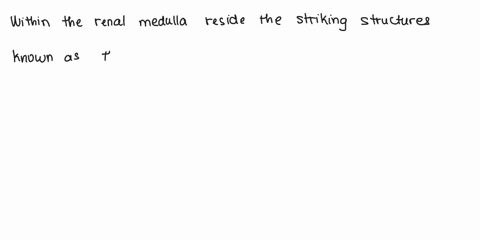 the-renal-medulla-contains-the-_______________________-group-of-answer-choices-glomeruli-bowmans-capsule-distal-convoluted-tubules-renal-pyramids-proximal-convoluted-tubules-46442