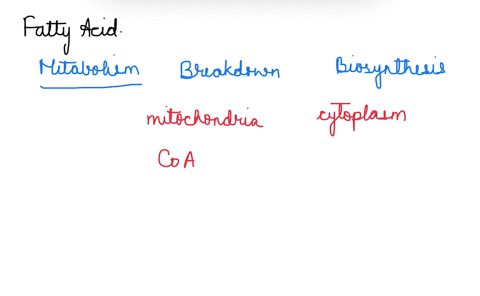 chapter-22-fatty-acid-metabolism-please-provide-a-detailed-description-figures-narratives-of-the-differences-between-the-pathways-for-fatty-acid-breakdown-and-fatty-acid-biosynthesis-that-pr-07049