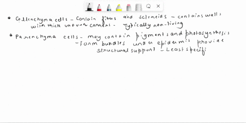 ground-tissue-classify-the-following-characteristics-to-describe-the-various-types-of-ground-tissue-within-angiosperms-collenchyma-cells-containfibetsandsclereids-contain-walls-with-thick-un-75166