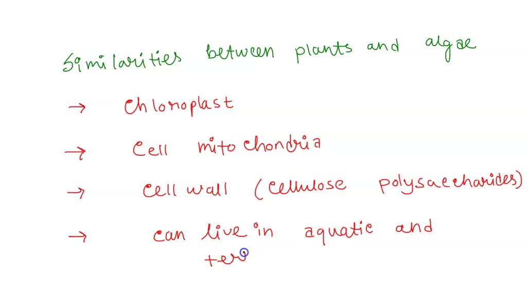 SOLVED: What are three similarities and differences between plants and ...