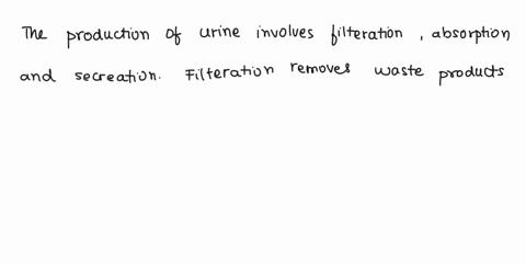 production-of-urine-to-modify-plasma-makeup-is-the-result-of-_______-a-filtration-b-absorption-c-sec-60587