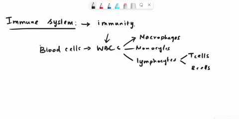 describe-three-mechanisms-that-allow-pathogens-to-evadethe-immune-system-86906