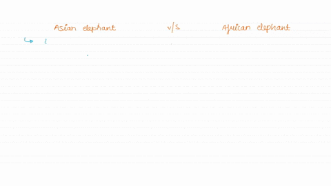 what-is-the-differences-between-an-asian-elephant-and-african-elephant-98263