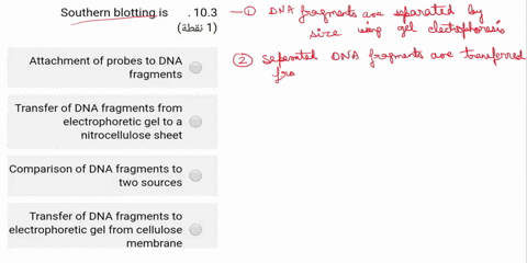southern-blotting-is-103-abii-1-attachment-of-probes-to-dna-fragments-transfer-of-dna-fragments-from-electrophoretic-gel-to-a-nitrocellulose-sheet-comparison-of-dna-fragments-to-two-sources-05432