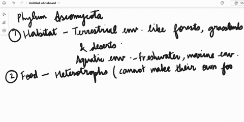 3-where-is-phylum-ascomycota-found-how-do-they-get-their-food-what-are-some-examples-of-these-fungi-and-what-is-the-name-of-their-reproductive-structure-called-34092