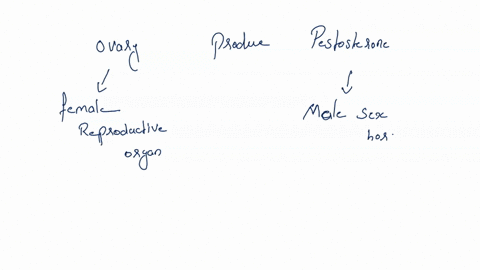 the-ovary-only-produce-testosterone-true-false-08208